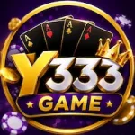 Y 333 Game