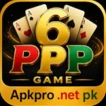 6 PPP Game