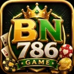 BN 786 Game Real Earnings
